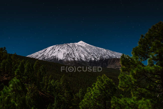 Mysterious evening landscape of snowy mountain volcano under dark blue starry sky surrounded by green trees in Tenerife. El Teide, Canary Island, Spain — Stock Photo