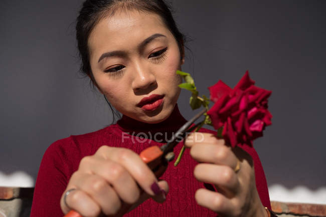 Jeune femme asiatique couper tige de rose avec sécateurs — Photo de stock