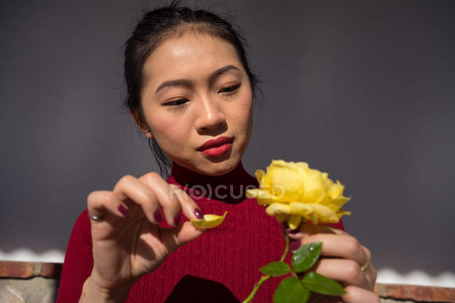 Asiatin reißt Blütenblatt von gelber Rose — Stockfoto