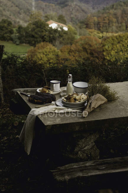 High angle of yummy cake and buns on ceramic plates in composition with fresh milk in glass bottle beside fragrant bouquet of wildflowers on stone table against blurred countryside with colorful trees — Stock Photo