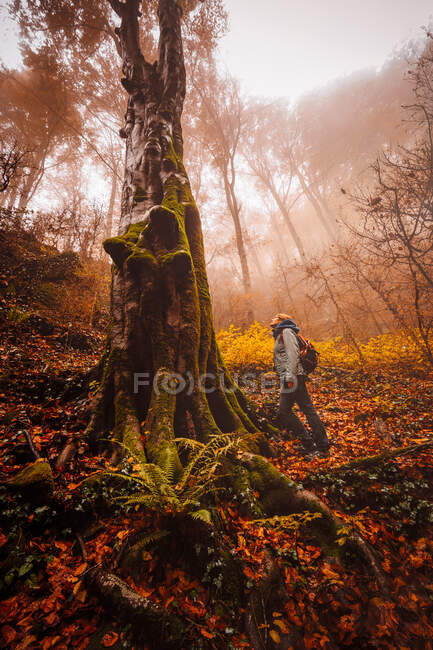 Donna nella foresta con colori autunnali tra nebbia — Foto stock