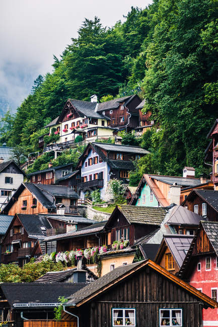 Casas acolhedoras de pequeno assentamento localizado perto da floresta na encosta da montanha no dia nublado na Áustria — Fotografia de Stock