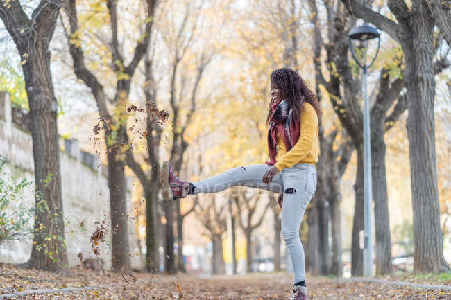 Стильная, восторженная афроамериканка в теплой куртке весело пинает осенние листья в воздухе в парке — стоковое фото
