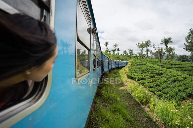 Азійка їде поїздом із зеленими рослинами. — стокове фото