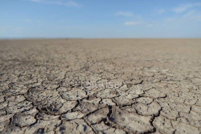 Rachaduras em solo seco — Fotografia de Stock