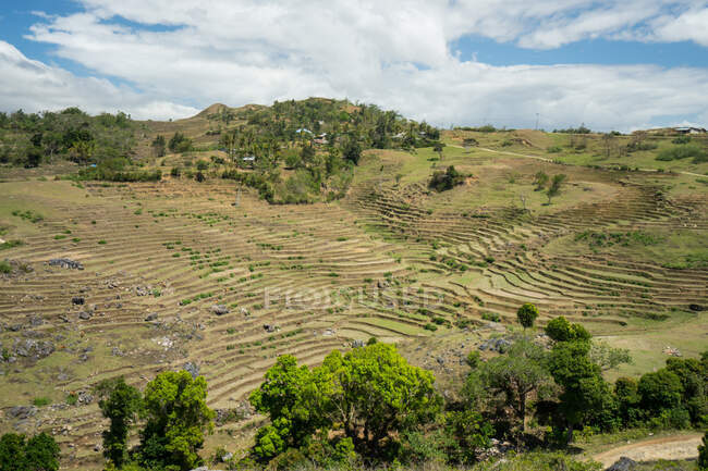 Campos pisados verdes contra pequena aldeia em colina — Fotografia de Stock