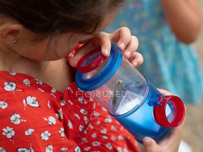 Chica examinando bug en tarro - foto de stock