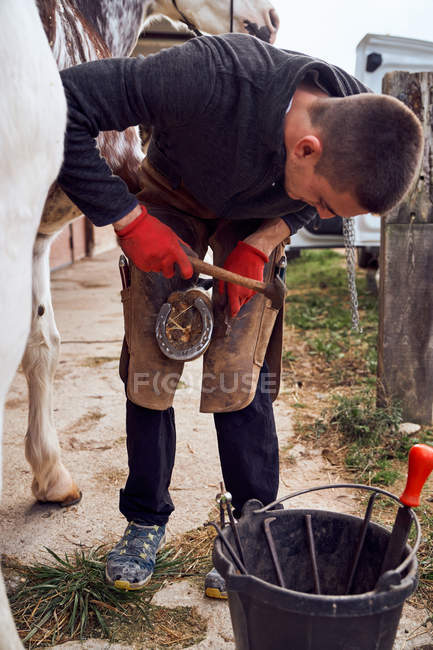 Blacksmith boy changing horseshoe to the leg of a horse using bald lime hammer pliers — Stock Photo