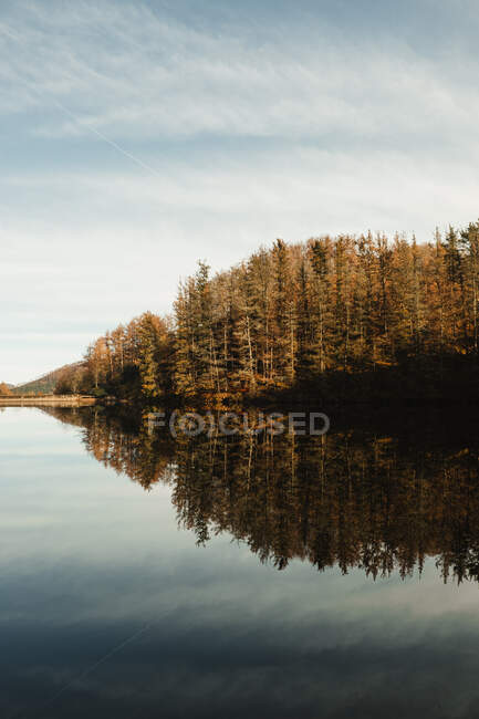 Lago y paisaje forestal con cielo azul - foto de stock
