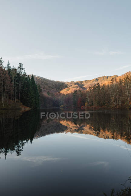 Lago e paisagem florestal com céu azul — Fotografia de Stock