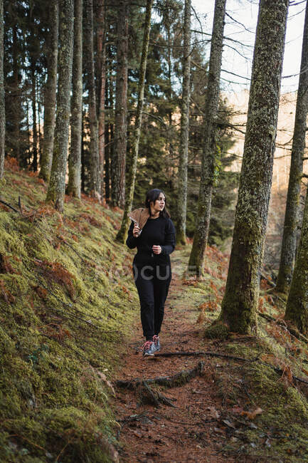 Mujer caminando en el bosque de otoño - foto de stock