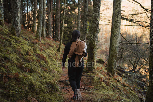 Жінка ходить в осінньому лісі — стокове фото