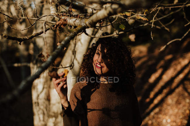 Mujer de pelo rizado agradable en ropa casual tocando la hoja amarilla de otoño y sonriendo en los bosques - foto de stock