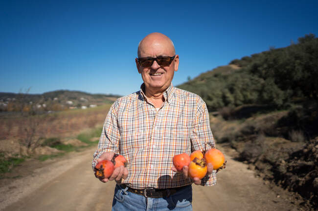 Viejo sonriente sosteniendo caqui maduro en las manos - foto de stock