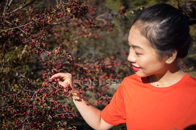 Agradable encantadora mujer asiática tocando rama con rojo baya salvaje - foto de stock