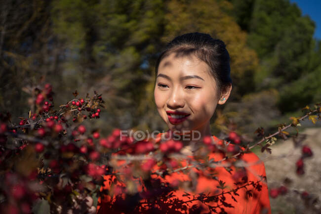 Приємна жінка з Азії, яка торкається гілки червоною дикою ягідкою. — стокове фото