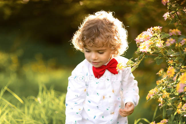 Pequeno menino bonito cheirando flor no parque — Fotografia de Stock