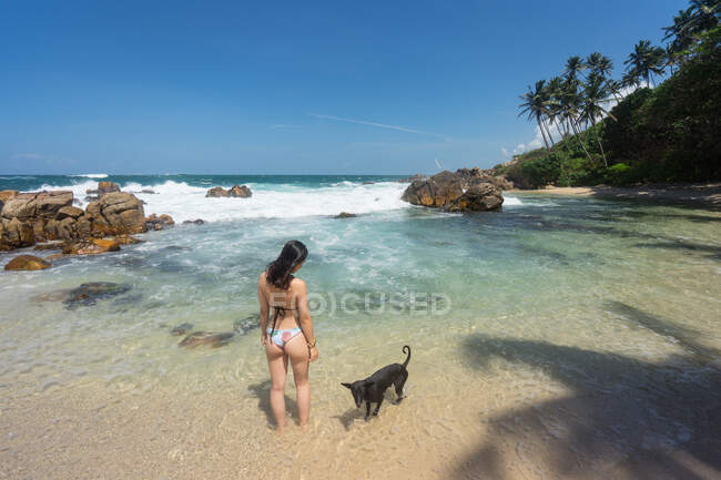 Неузнаваемая отдыхающая женщина в купальнике с собакой на экзотической бобе — стоковое фото