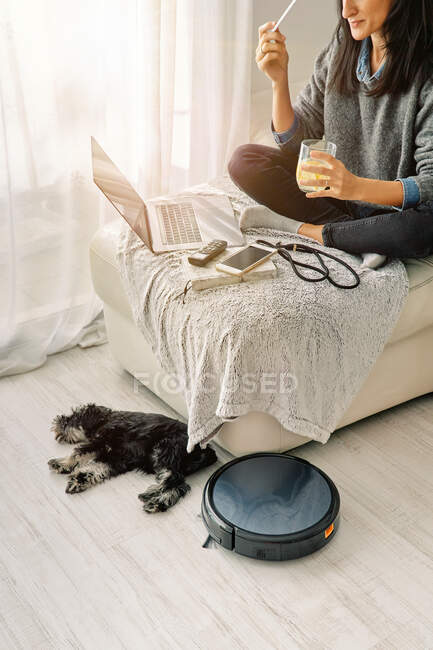 Mujer sentada en un sofá en una sala de luz trabajando en una computadora y bebiendo bebida fría con un lindo cachorro acostado al lado de la aspiradora robótica negra redonda - foto de stock