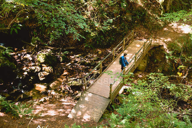 De cima turista de pé na ponte de madeira e olhando para a paisagem natural na floresta no verão — Fotografia de Stock
