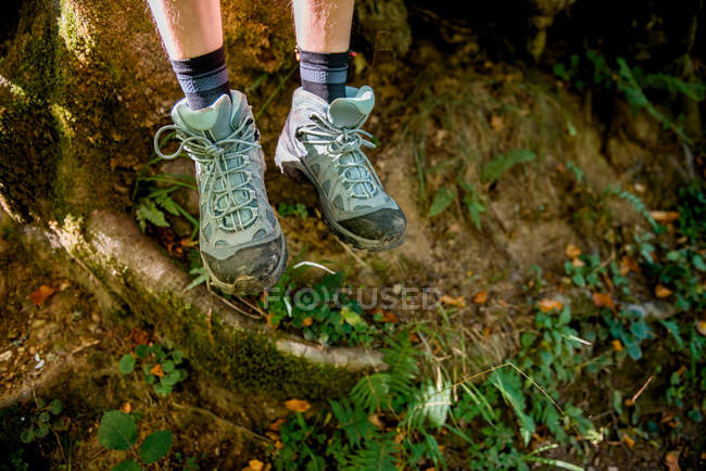 Обрезанный образ туриста в короткие и кроссовки, стоящие на корнях деревьев во время следования туристического маршрута в лесу в летнее время — стоковое фото