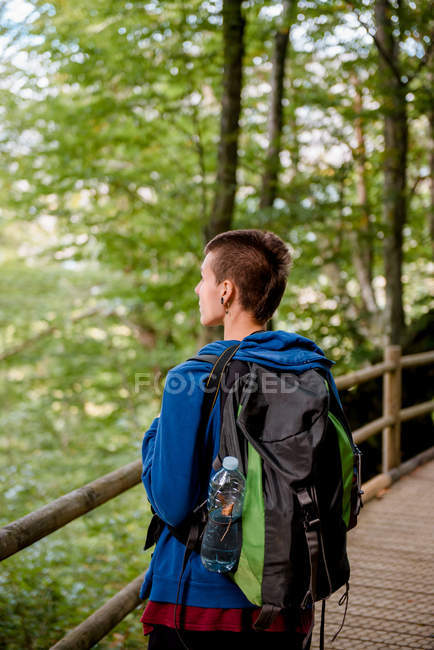 Vue de dessus vers l'arrière du touriste debout sur un pont en bois et regardant le paysage naturel dans la forêt — Photo de stock