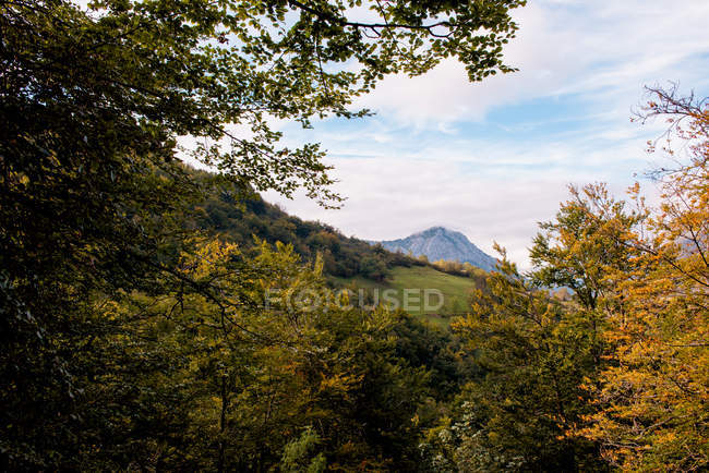 Wonderful view of majestic mountain peak and autumn colorful forest in cloudy day — Stock Photo