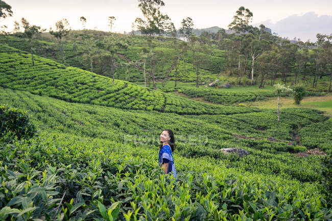 Fröhliche Frau in blauer traditioneller Kleidung schaut weg, während sie auf Teewiesen in Haputale in Sri Lanka steht — Stockfoto