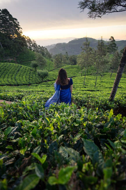 Rückansicht einer Frau in blauer traditioneller Kleidung, die wegschaut, während sie auf Teewiesen in Haputale in Sri Lanka steht — Stockfoto