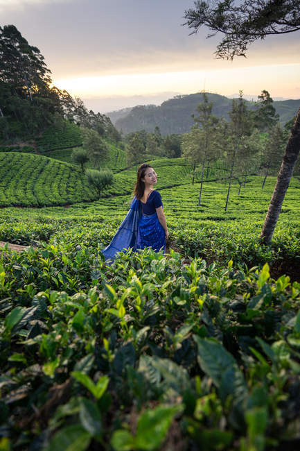 Femme joyeuse en vêtements traditionnels bleus regardant la caméra tout en se tenant debout sur les prairies de thé à Haputale au Sri Lanka — Photo de stock