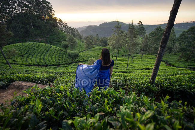 Vista posteriore della donna in abiti tradizionali blu distogliendo lo sguardo mentre si trova su prati di tè in Haputale in Sri Lanka — Foto stock