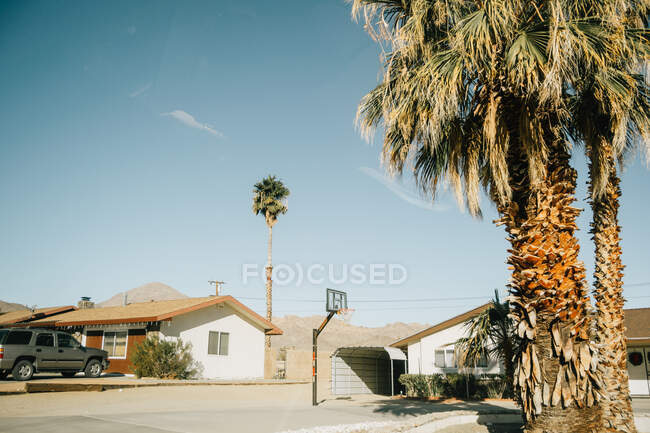 Landschaft typischer Häuser mit Garage und Basketballkorb in Palmennähe in der Straße von Venice Beach in den USA an sonnigen Tagen — Stockfoto