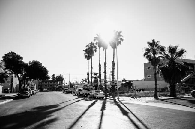 Вулиця з будинками, автомобілями і пальмами біля дороги Венеційського пляжу в США в сонячний день. — стокове фото