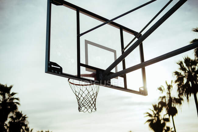 Da sotto il basamento di pallacanestro del metallo e la rete dell'anello nel parco esotico alla luce del sole nella spiaggia di Venezia, S.U.A. — Foto stock