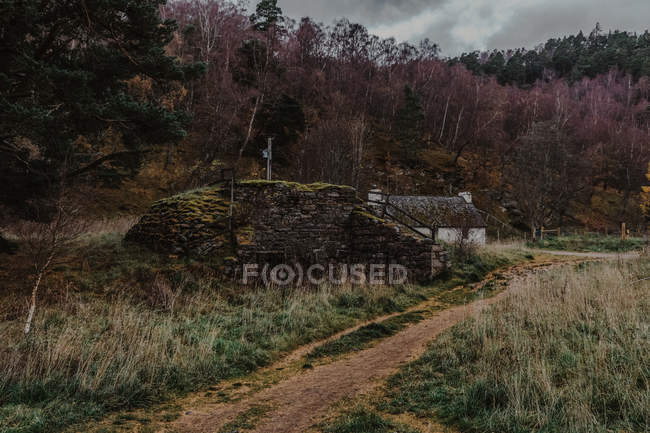 Зруйнований старий будинок біля осіннього лісу з різнокольоровими деревами і стежкою в похмурий день — стокове фото