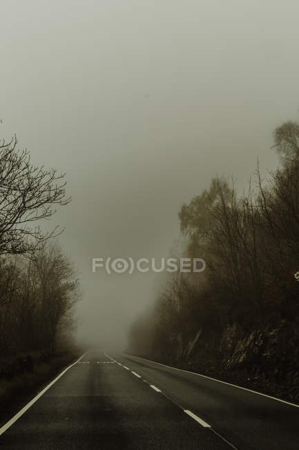Estrada reta vazia com névoa na floresta cercada por árvores rodovia nebulosa no dia nublado — Fotografia de Stock