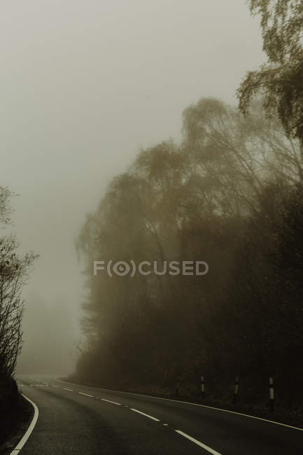 Strada diritta vuota con nebbia nella foresta circondata da alberi autostrada nebbiosa durante il giorno nuvoloso — Foto stock