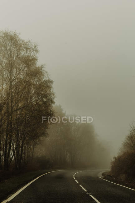 Strada diritta vuota con nebbia nella foresta circondata da alberi autostrada nebbiosa durante il giorno nuvoloso — Foto stock