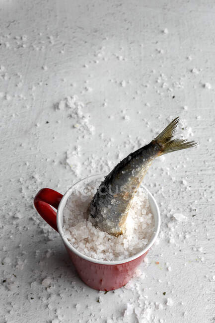 Хвіст сардини в тарілці з сіллю — стокове фото