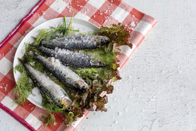 Von oben zubereitete herzhafte Makrele serviert auf Salatblättern mit Stücken von Meersalz auf Teller auf weißem Hintergrund — Stockfoto