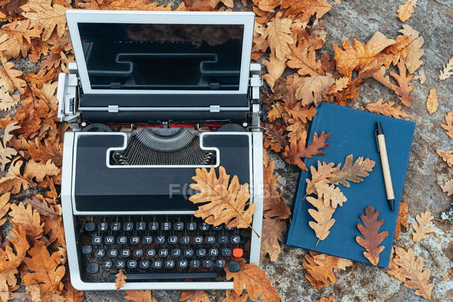 De cima vintage máquina de escrever velha com tablet em folhas de outono e caderno azul com caneta na mesa de pedra na floresta de carvalho — Fotografia de Stock
