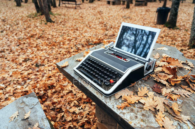 Сверху старинная пишущая машинка с табличкой в осенних листьях на каменном столе в дубовом лесу — стоковое фото