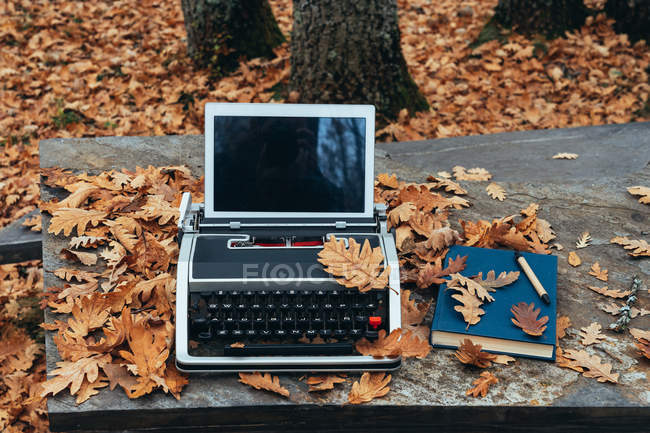 Зверху старовинна стара друкарська машинка з планшетом в осінньому листі і блакитний блокнот з ручкою на кам'яному столі в дубовому лісі — стокове фото