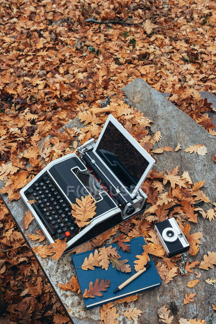 From above vintage old typewriter with tablet in autumn leaves and blue notebook with pen and retro camera on stone table in oak forest — Stock Photo