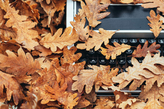 Nahaufnahme einer alten Schreibmaschine, die im Herbst mit Eichenblättern bedeckt ist — Stockfoto