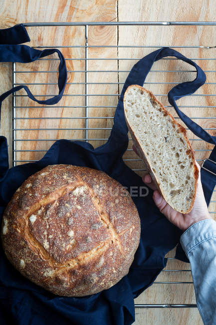 Top view of hand of anonymous woman holding slice of homemade sourdough bread and loaf of bread on apron on oven lattice. — Stock Photo