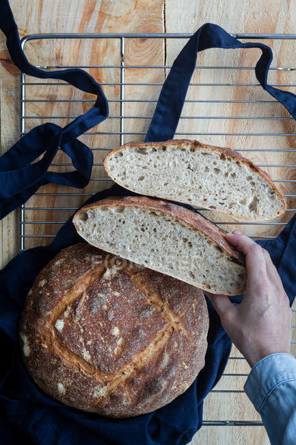 Вид зверху на руку анонімної жінки, яка приймає скибочки домашнього хліба з кислого тіста і хліба на фартусі на решітці для печі . — стокове фото