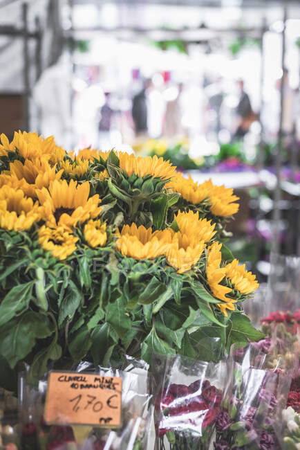 Sunflower on counter in market stall — Stock Photo