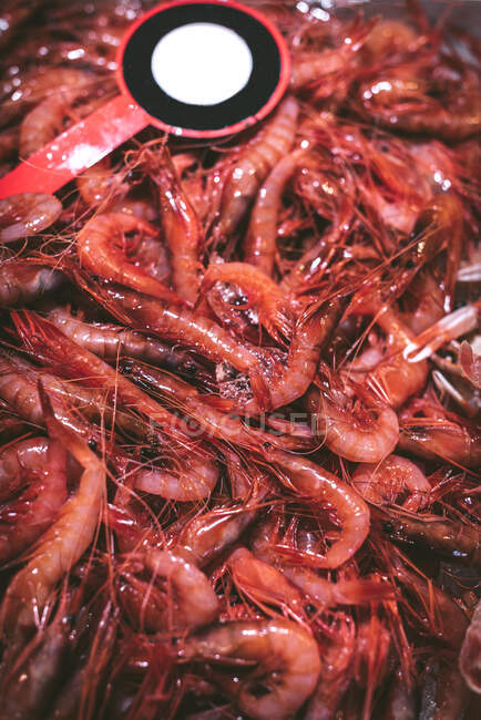 Box with fresh shrimps — Stock Photo