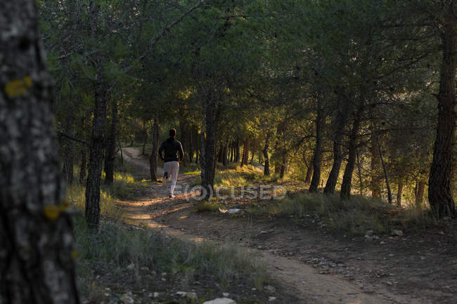 Back view of man in tracksuit working on muscles of legs running in forest on sunny day — Stock Photo